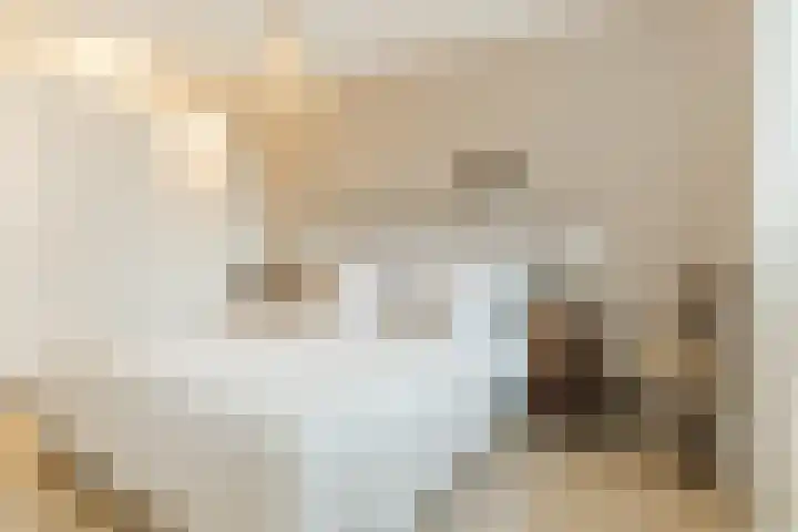 Pindosstraat 1 Tilburg thumbnail 18