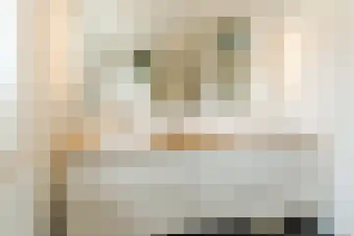 Pindosstraat 1 Tilburg thumbnail 23