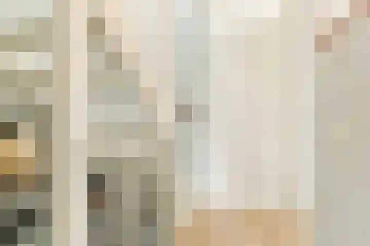 Pindosstraat 1 Tilburg thumbnail 26