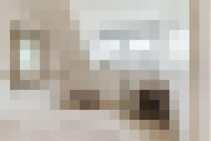 Pindosstraat 1 Tilburg thumbnail 27