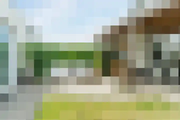 Pindosstraat 1 Tilburg thumbnail 32