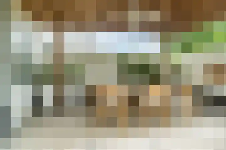 Pindosstraat 1 Tilburg thumbnail 35