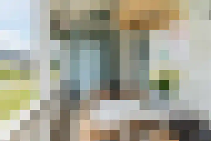 Pindosstraat 1 Tilburg thumbnail 38