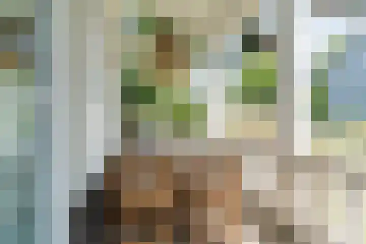 Pindosstraat 1 Tilburg thumbnail 39