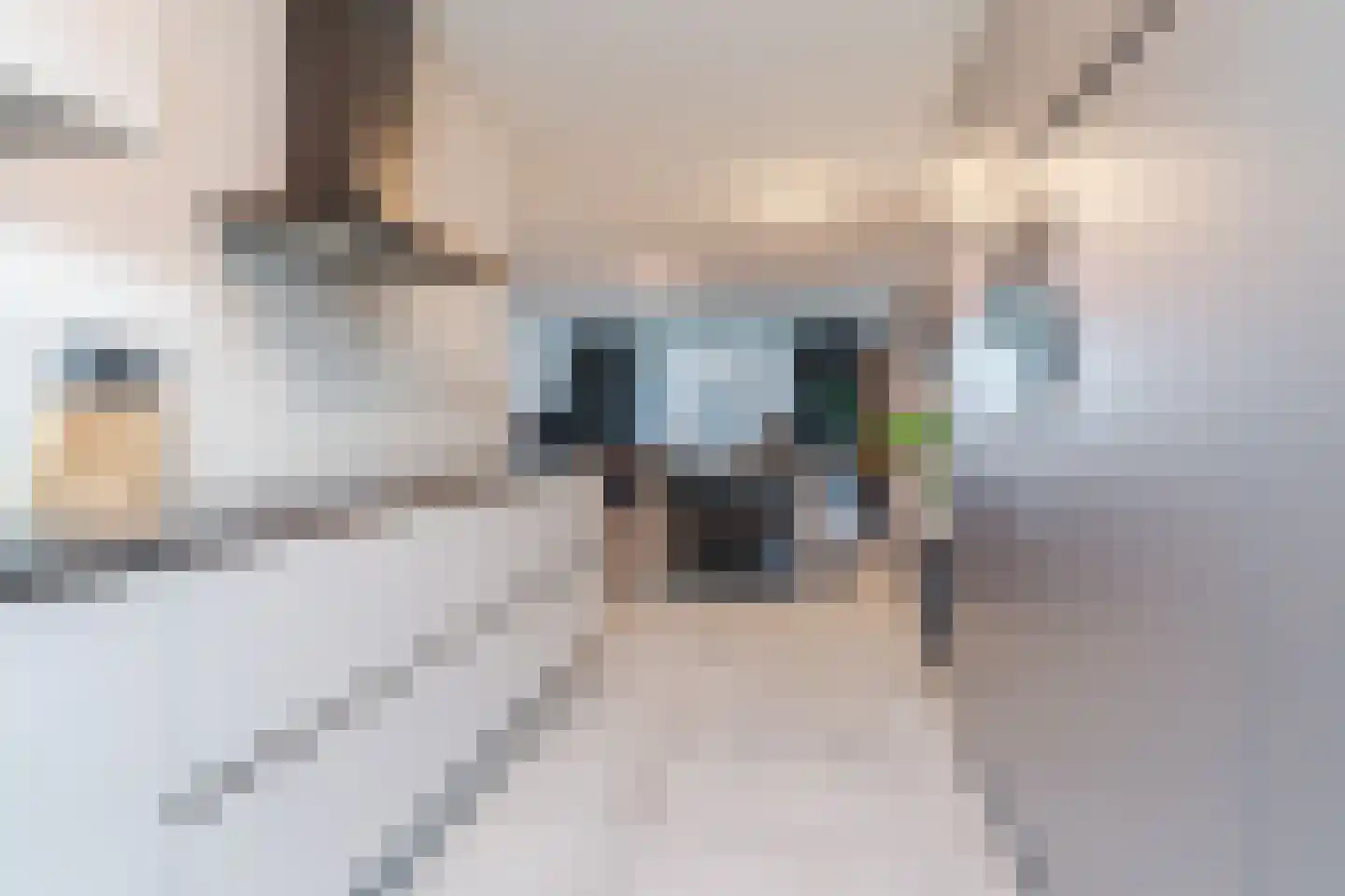 Pindosstraat 15 Tilburg thumbnail 16