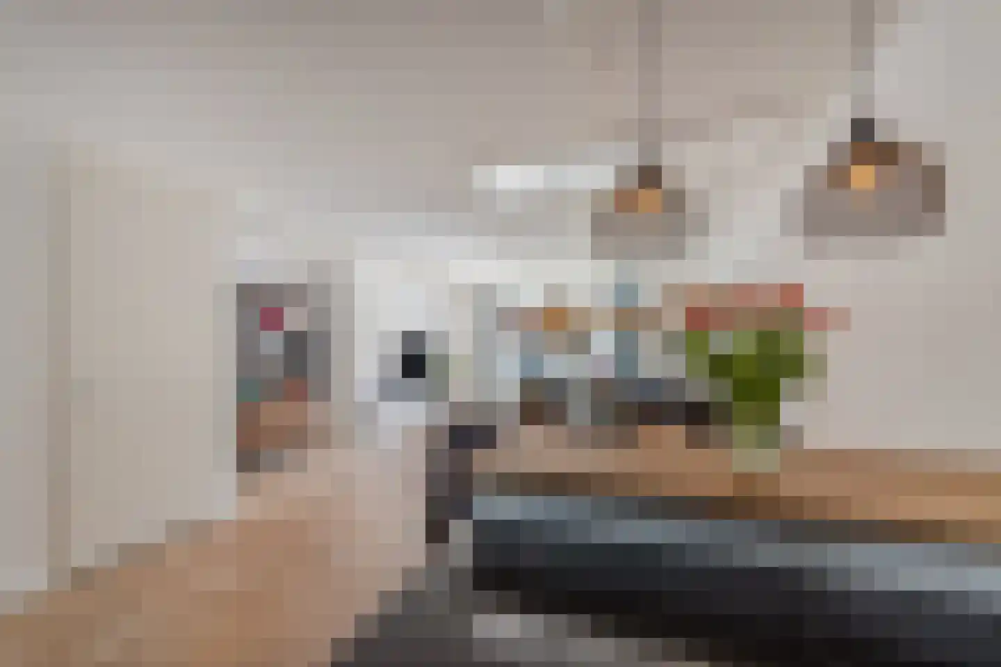 Pindosstraat 16 Tilburg thumbnail 25