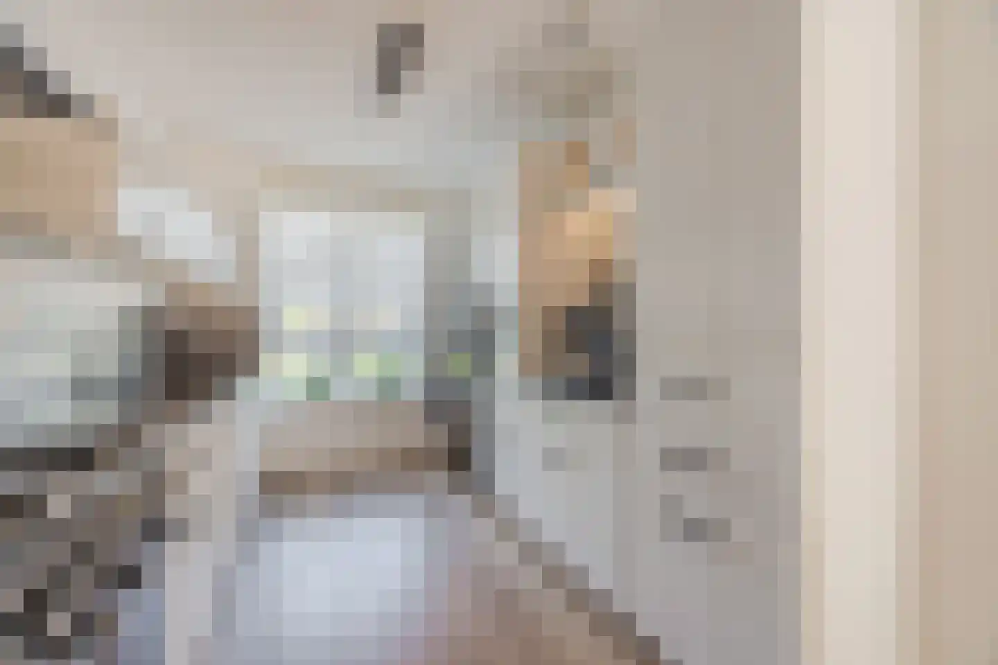 Pindosstraat 16 Tilburg thumbnail 30
