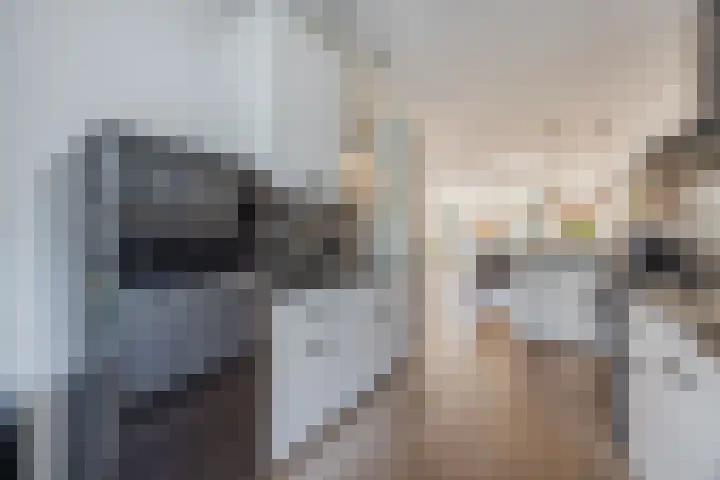 Pindosstraat 16 Tilburg thumbnail 31