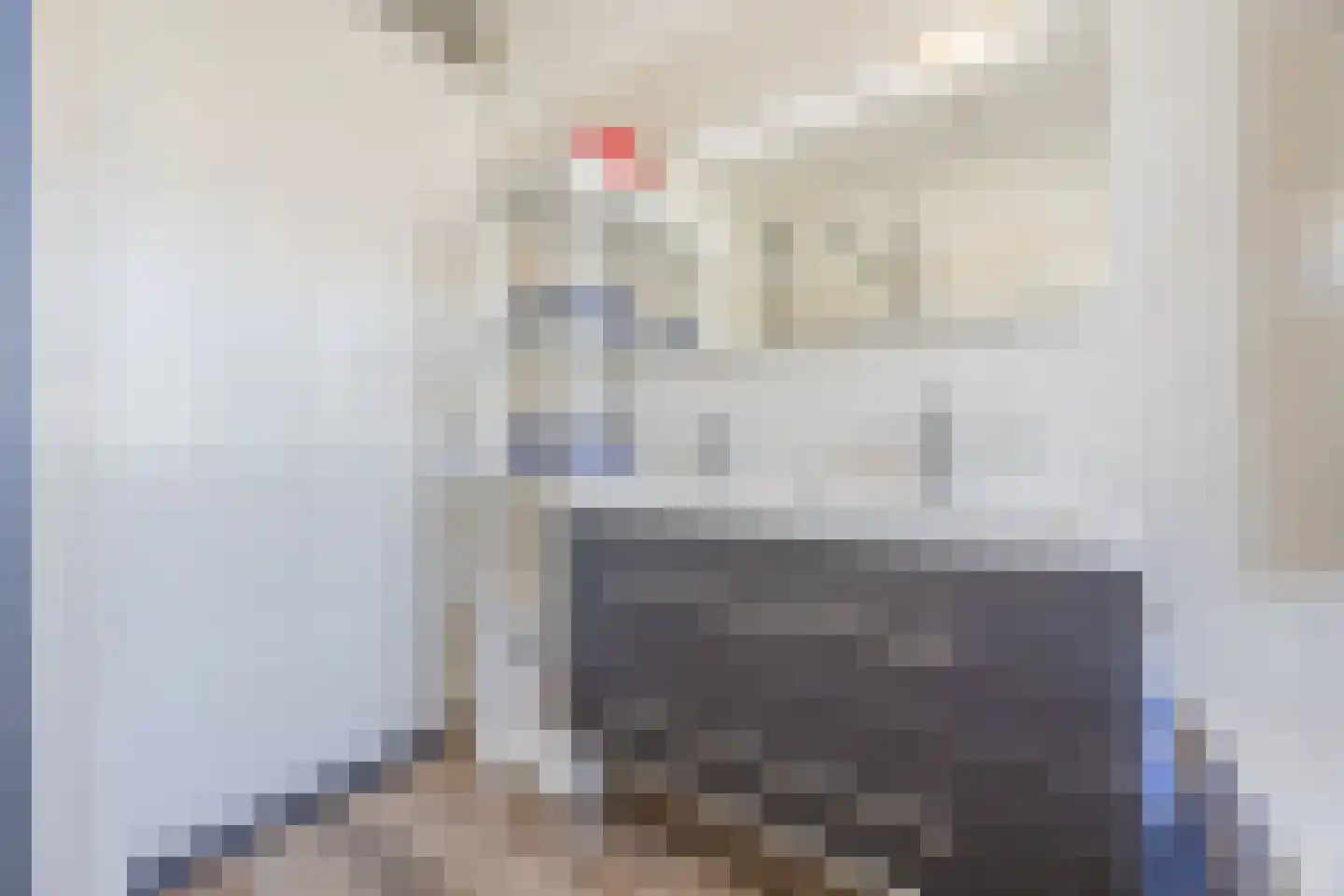 Pindosstraat 16 Tilburg thumbnail 46