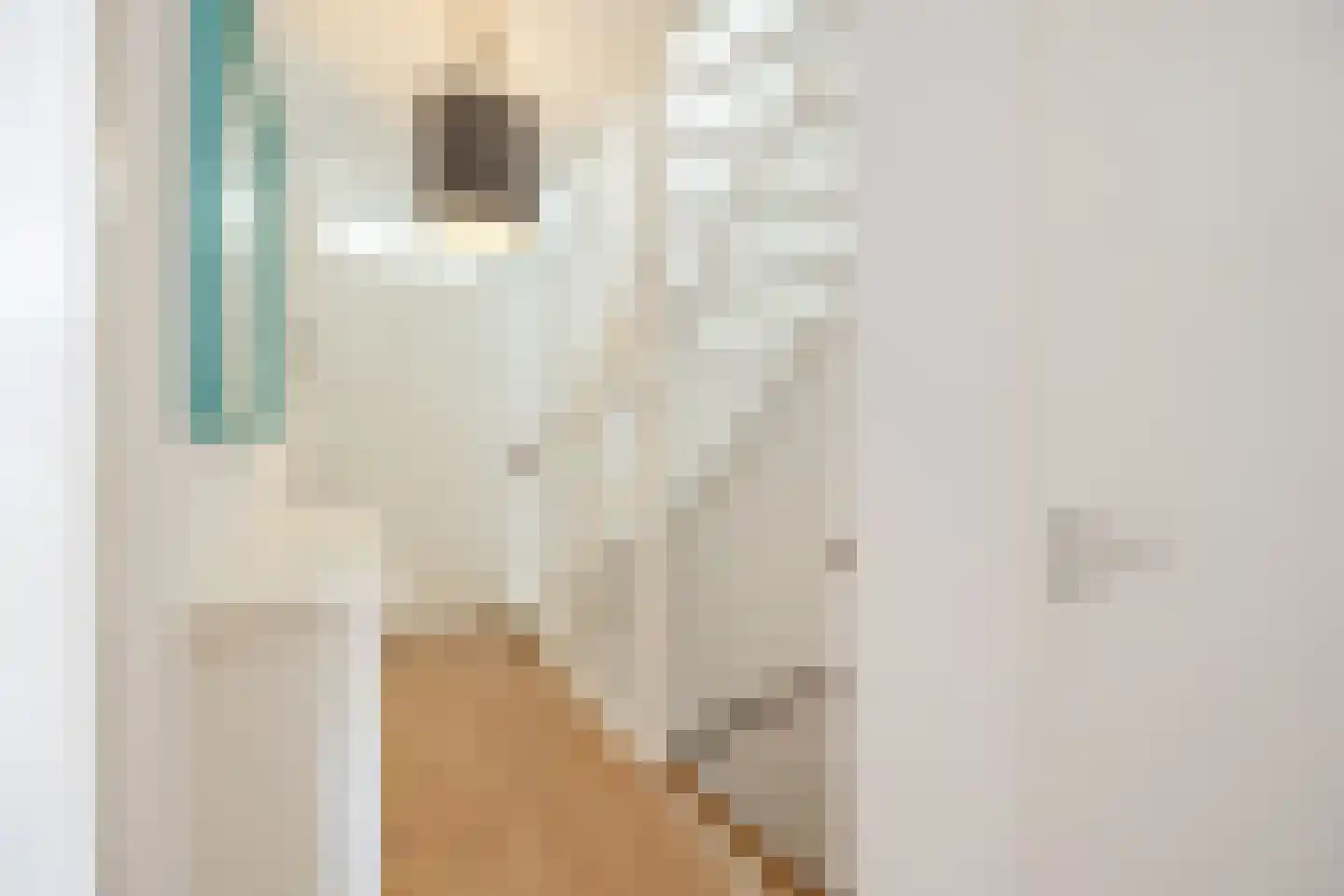 Pindosstraat 16 Tilburg thumbnail 51