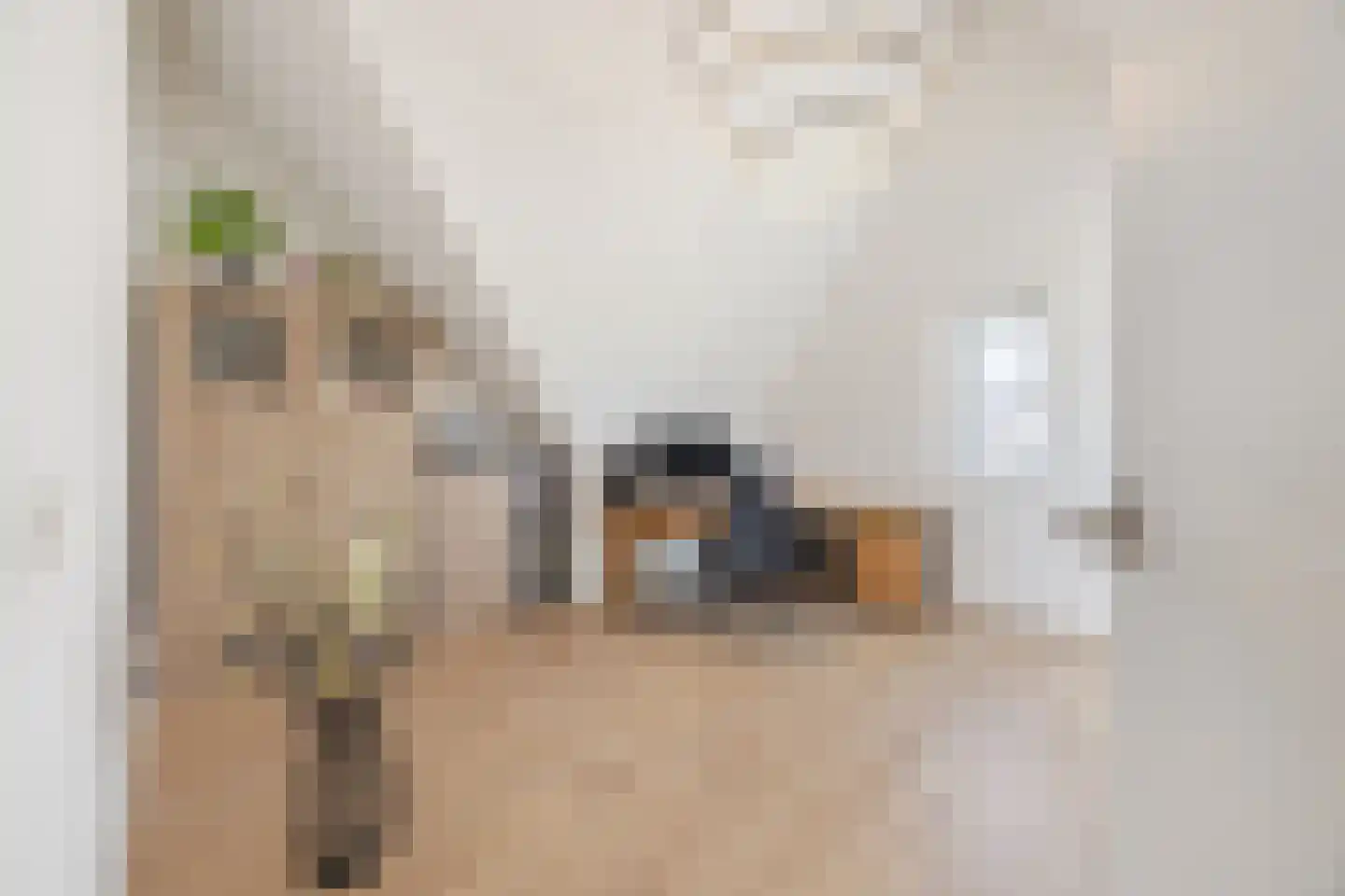 Pindosstraat 16 Tilburg thumbnail 56