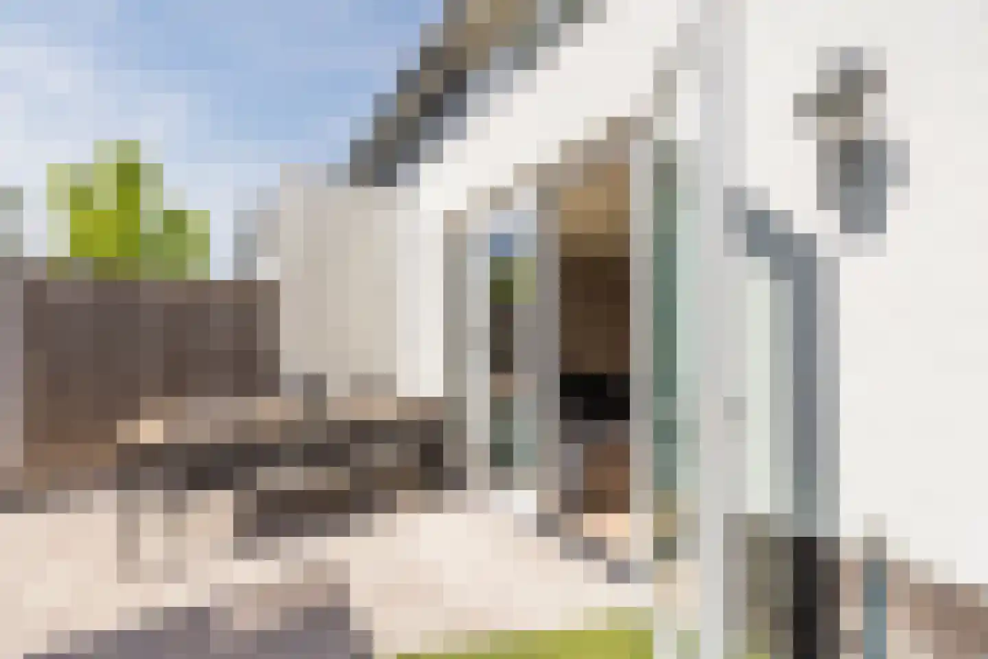 Pindosstraat 16 Tilburg thumbnail 68