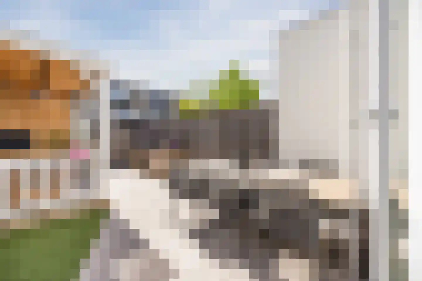 Pindosstraat 16 Tilburg thumbnail 69