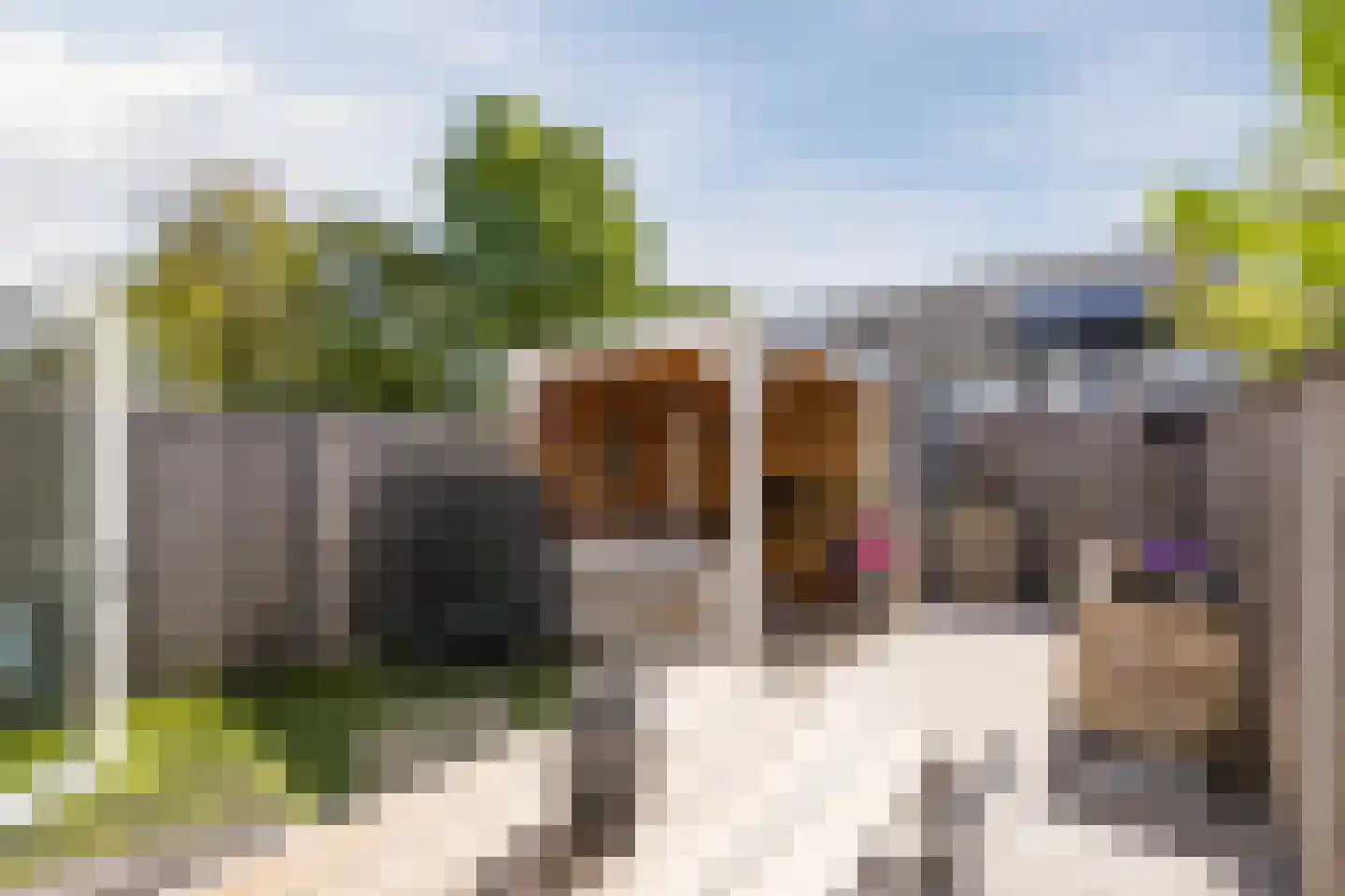 Pindosstraat 16 Tilburg thumbnail 70