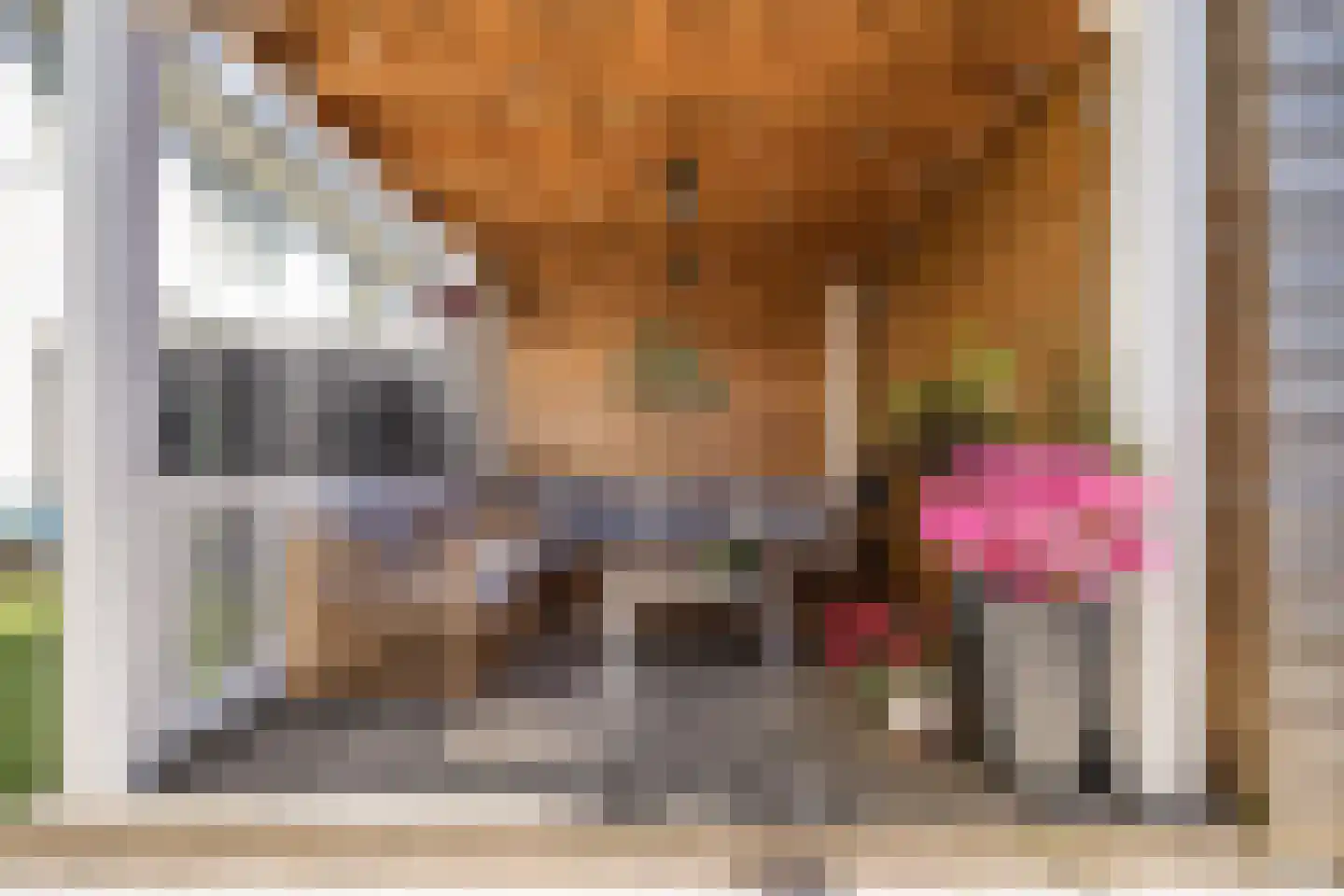 Pindosstraat 16 Tilburg thumbnail 72