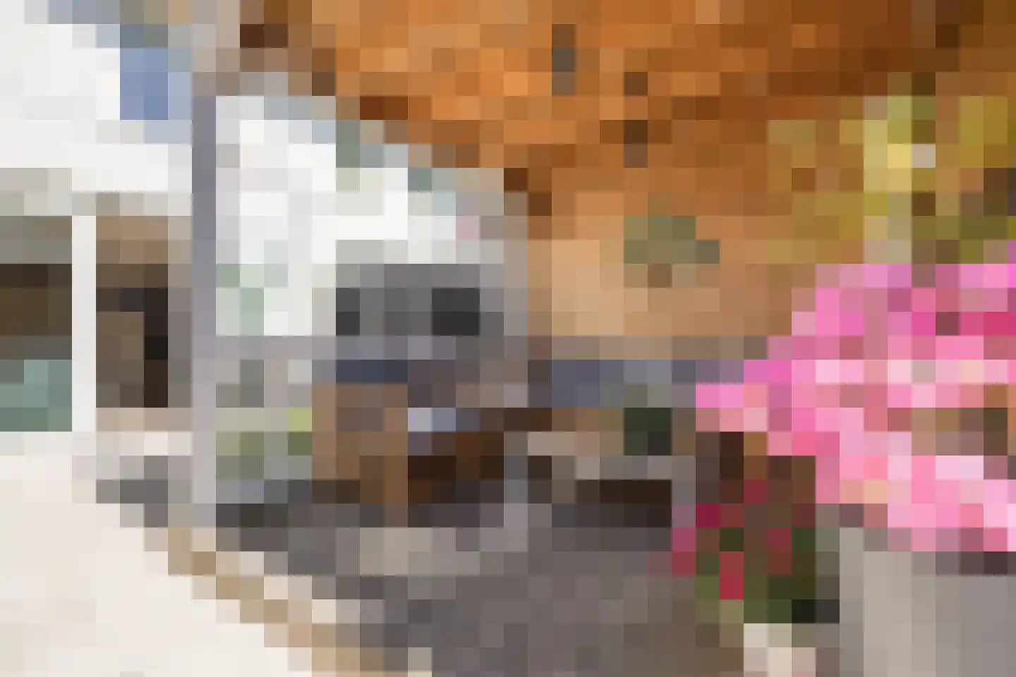 Pindosstraat 16 Tilburg thumbnail 73