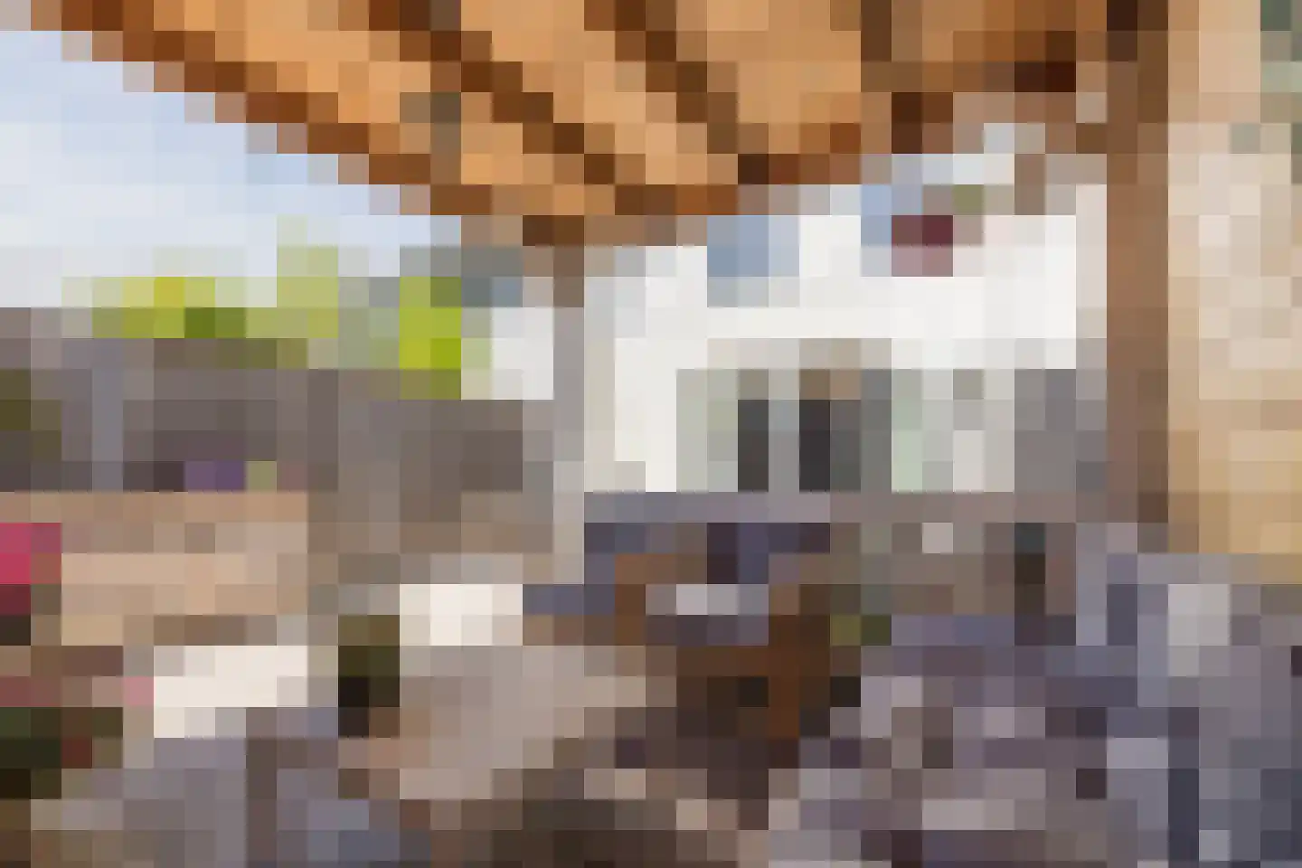 Pindosstraat 16 Tilburg thumbnail 74