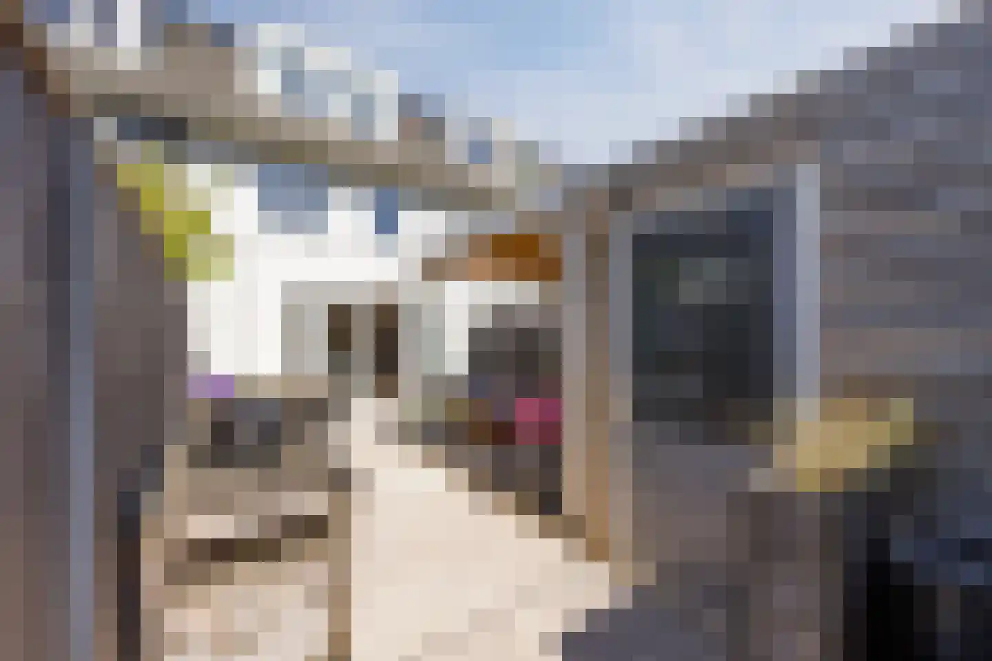 Pindosstraat 16 Tilburg thumbnail 76