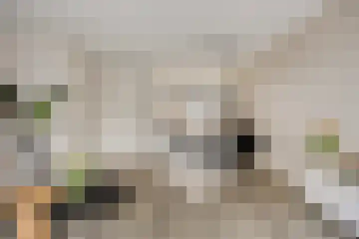 Pindosstraat 5 Tilburg thumbnail 10