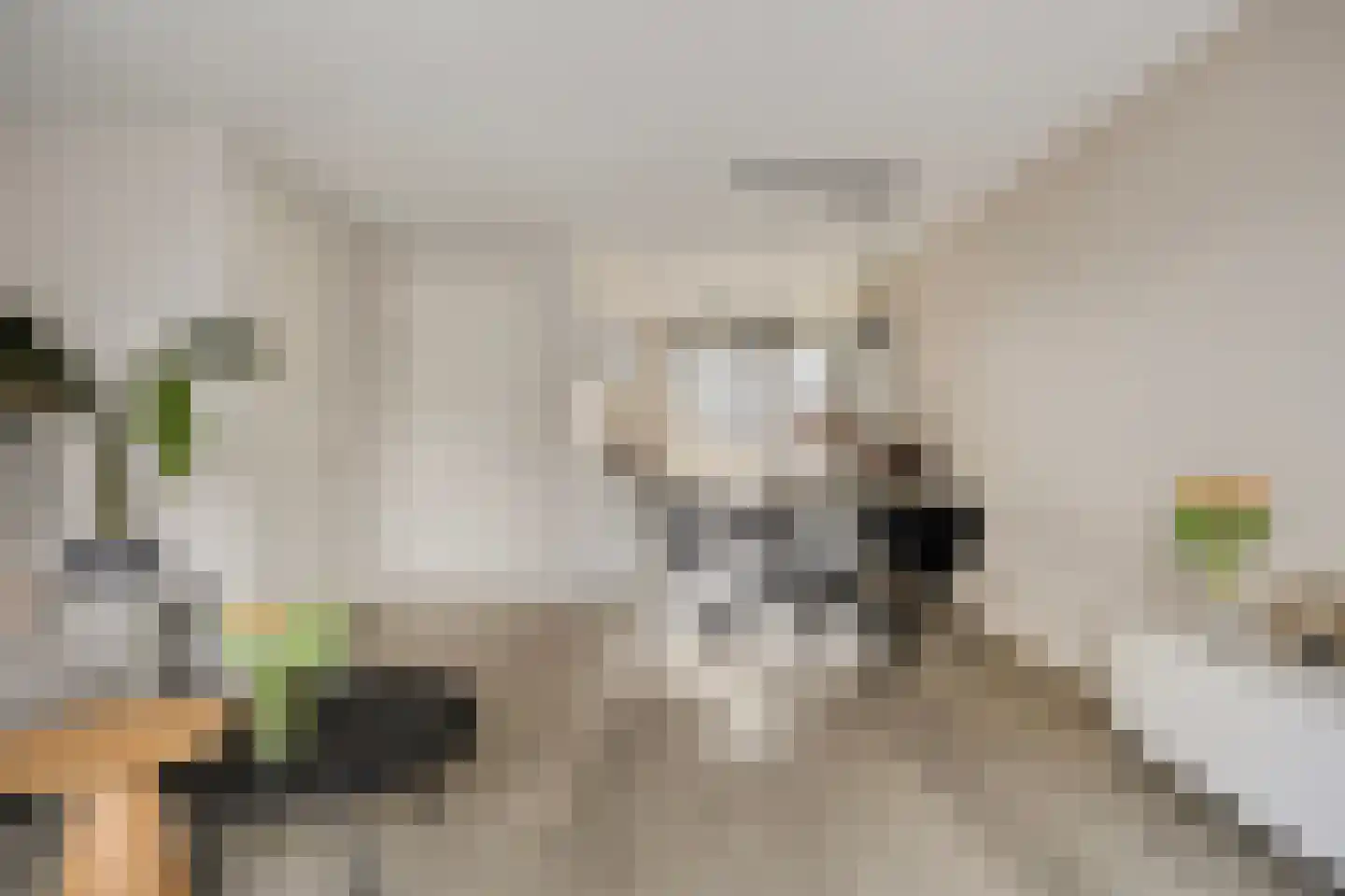 Pindosstraat 5 Tilburg thumbnail 10