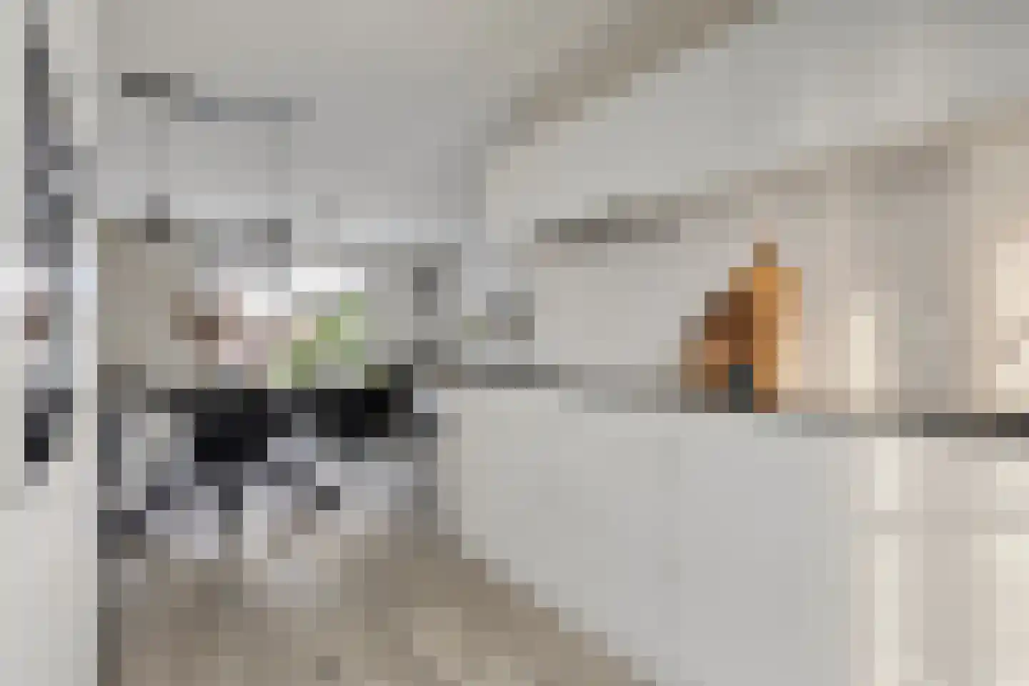 Pindosstraat 5 Tilburg thumbnail 11