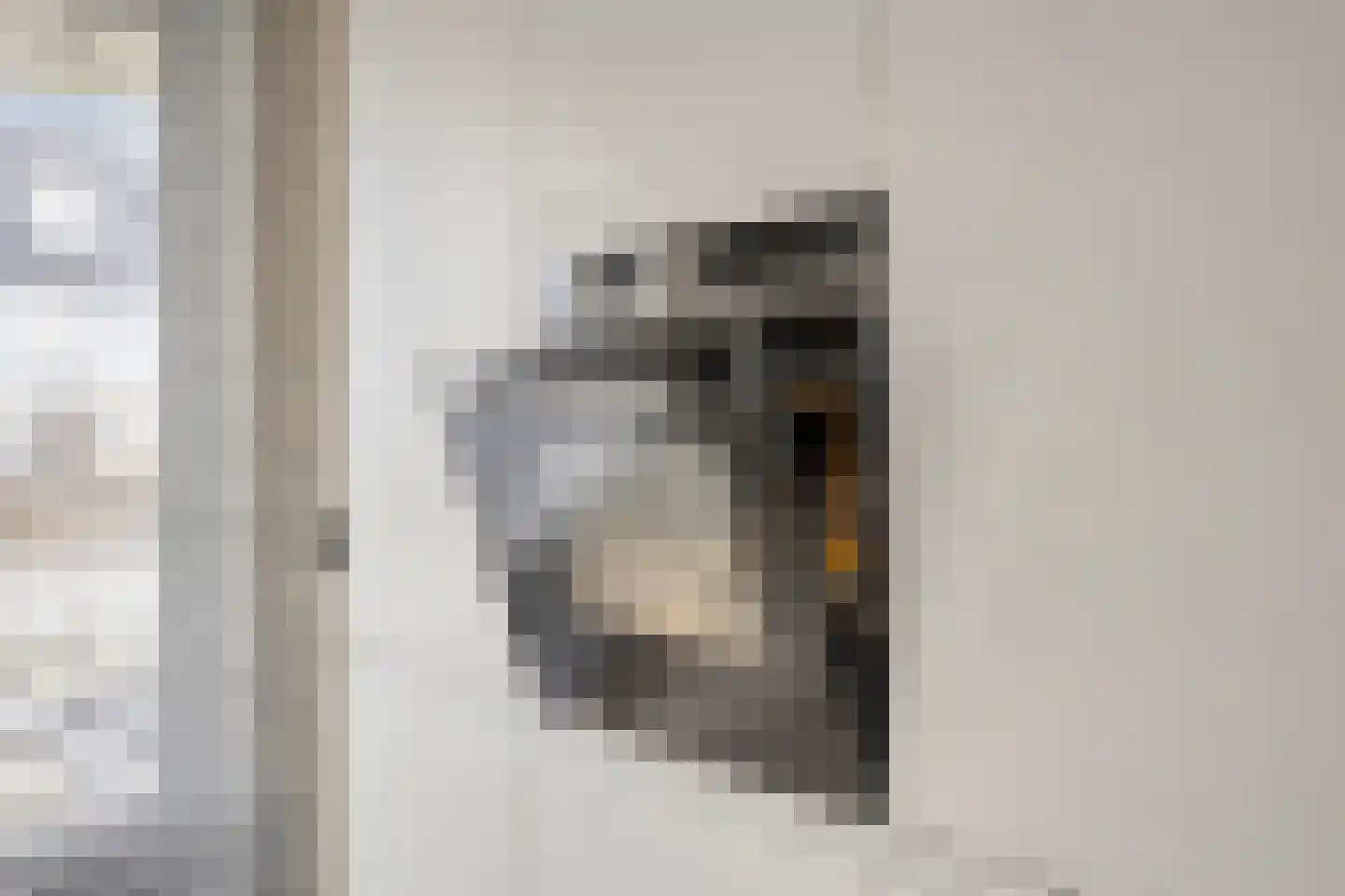 Pindosstraat 5 Tilburg thumbnail 14