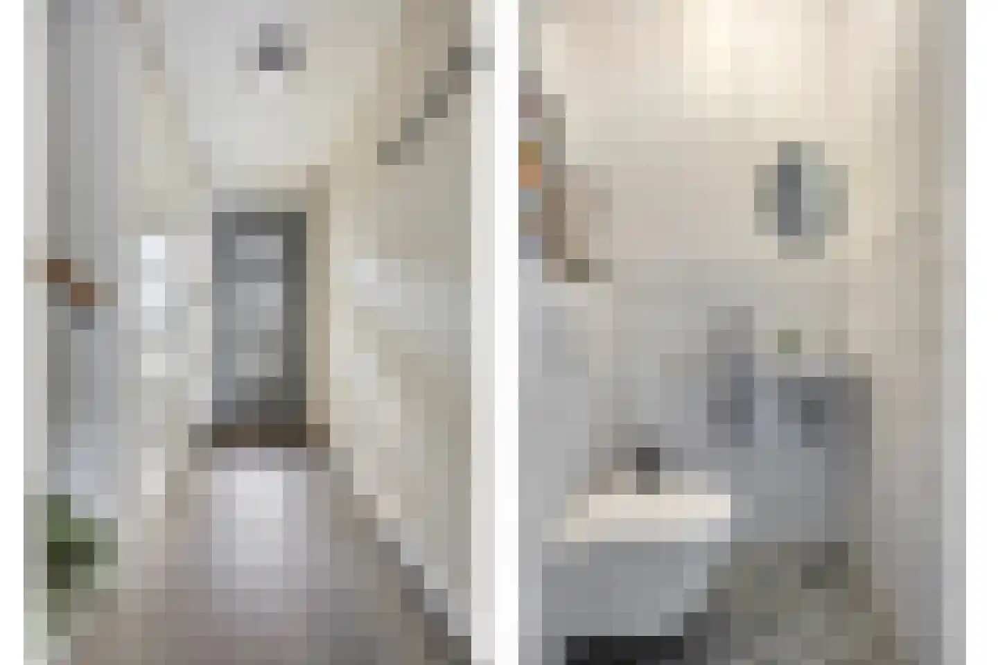 Pindosstraat 5 Tilburg thumbnail 15