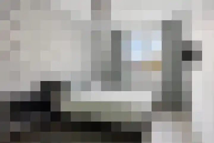 Pindosstraat 5 Tilburg thumbnail 18