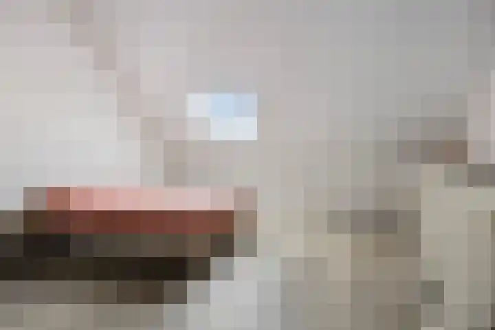 Pindosstraat 5 Tilburg thumbnail 23