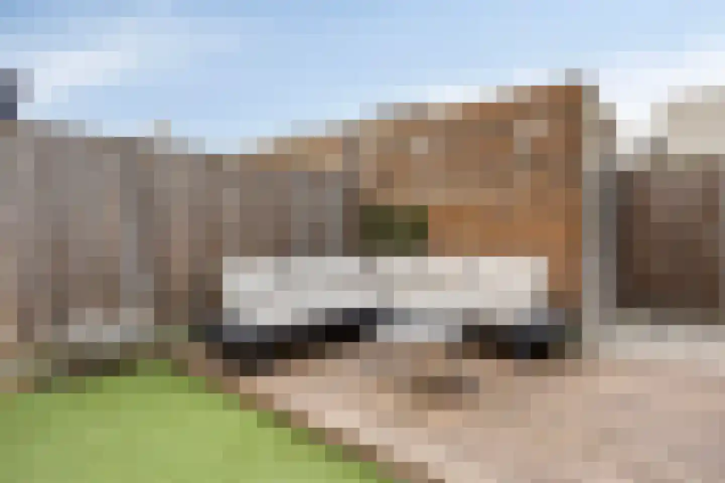 Pindosstraat 5 Tilburg thumbnail 26