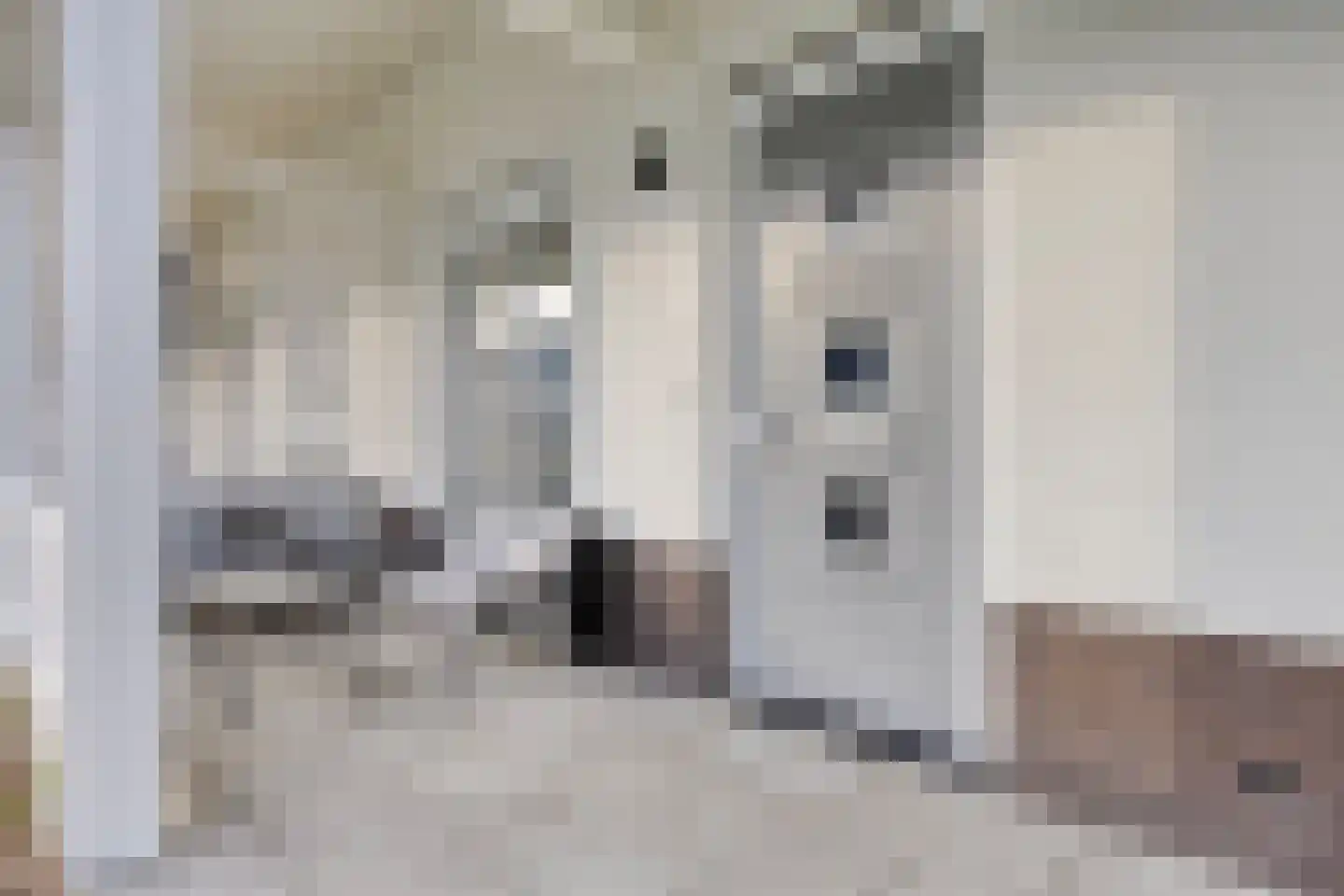 Pindosstraat 5 Tilburg thumbnail 4