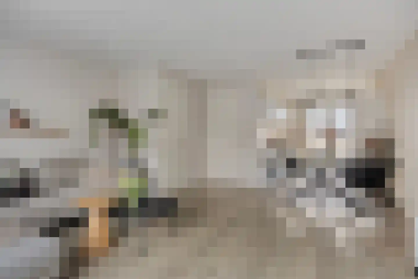 Pindosstraat 5 Tilburg thumbnail 5