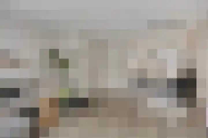 Pindosstraat 5 Tilburg thumbnail 5