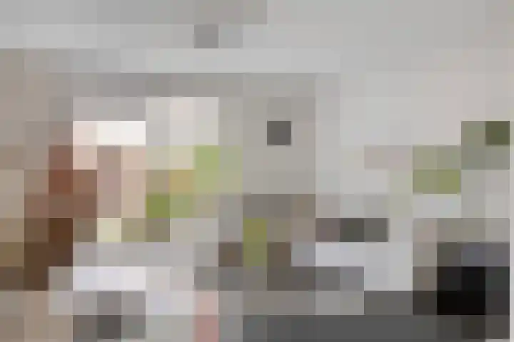 Pindosstraat 5 Tilburg thumbnail 8