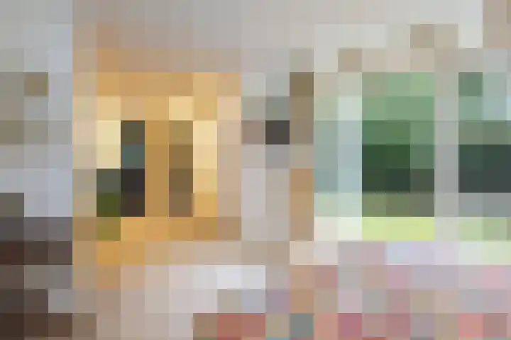 Pinèllaan 11 Bloemendaal thumbnail 18