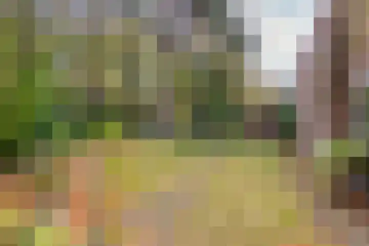 Pinèllaan 11 Bloemendaal thumbnail 45