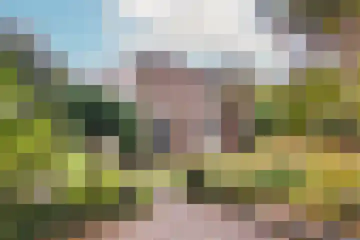 Pinèllaan 11 Bloemendaal thumbnail 47