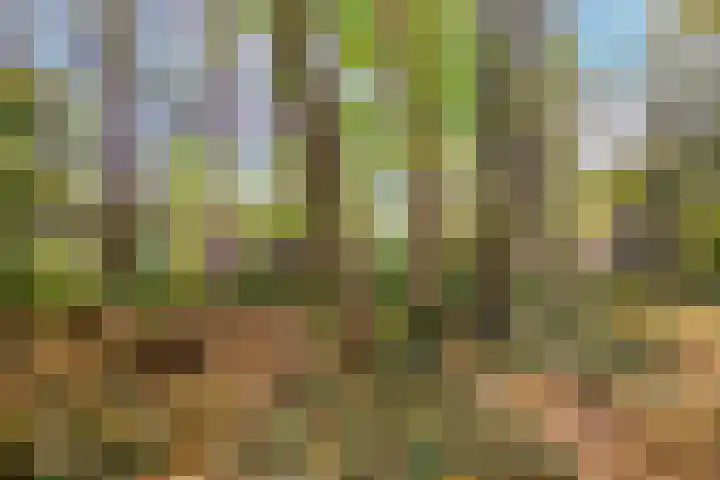 Pinèllaan 11 Bloemendaal thumbnail 48