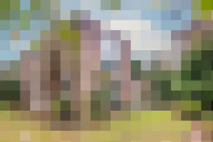 Pinèllaan 11 Bloemendaal thumbnail 49