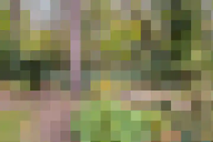 Pinèllaan 11 Bloemendaal thumbnail 5