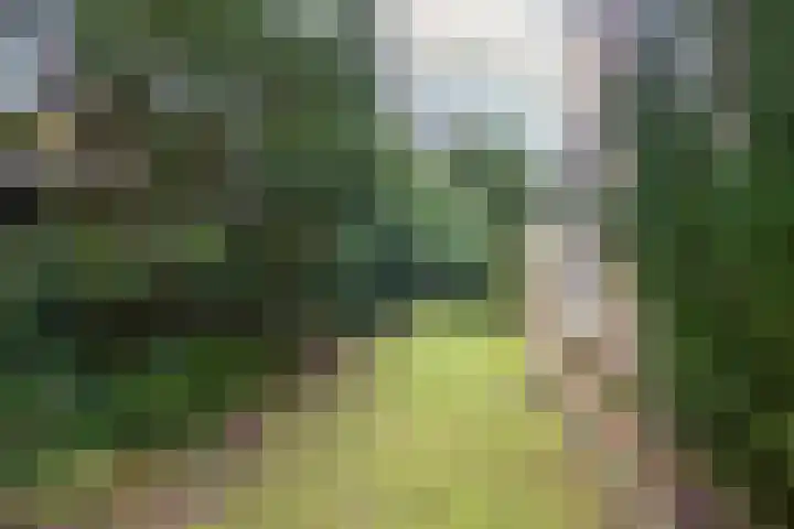 Pinèllaan 11 Bloemendaal thumbnail 50