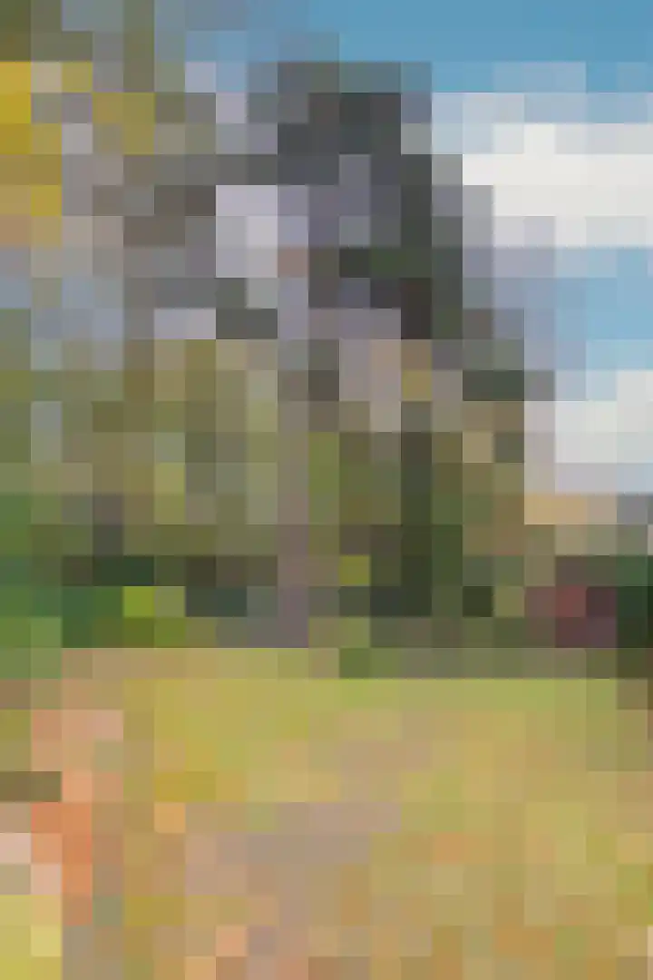 Pinèllaan 11 Bloemendaal thumbnail 51