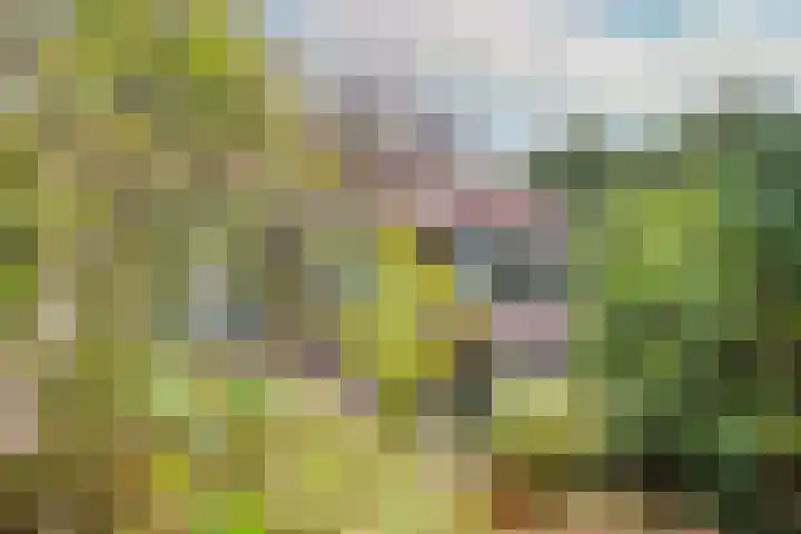 Pinèllaan 11 Bloemendaal thumbnail 52