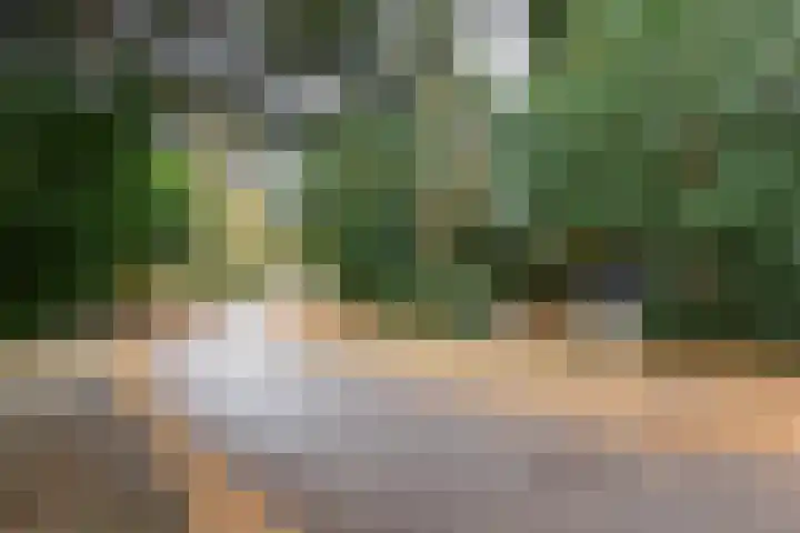 Pinèllaan 11 Bloemendaal thumbnail 54