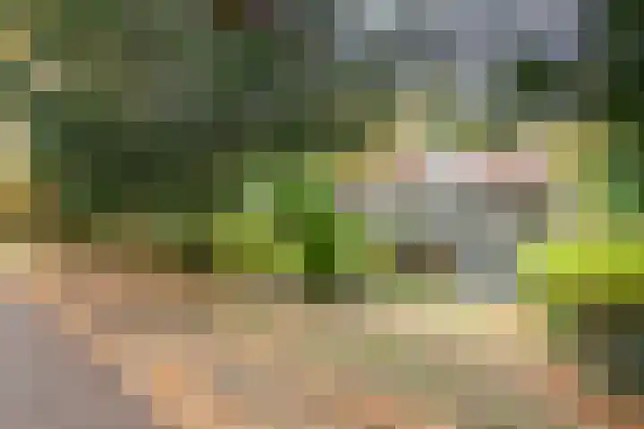 Pinèllaan 11 Bloemendaal thumbnail 55