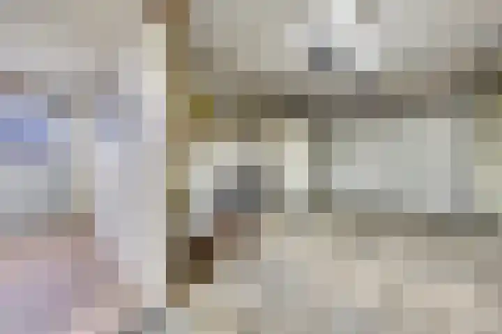 Pinglestraat 1 Dronten thumbnail 18