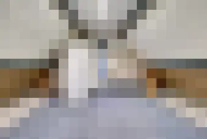 Pinglestraat 1 Dronten thumbnail 30