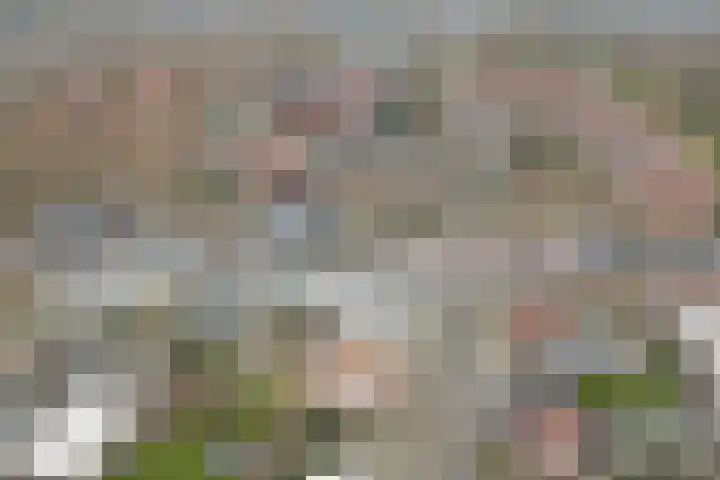 Pinglestraat 1 Dronten thumbnail 37