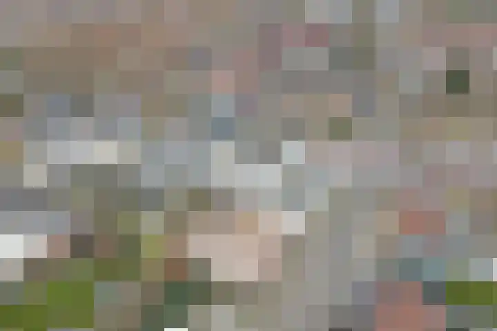 Pinglestraat 1 Dronten thumbnail 38