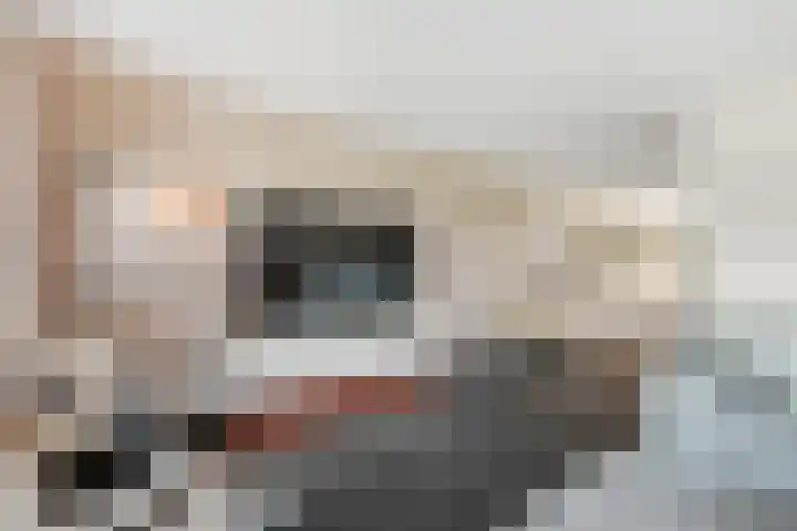 Pingosingel 4 Kerkenveld thumbnail 13